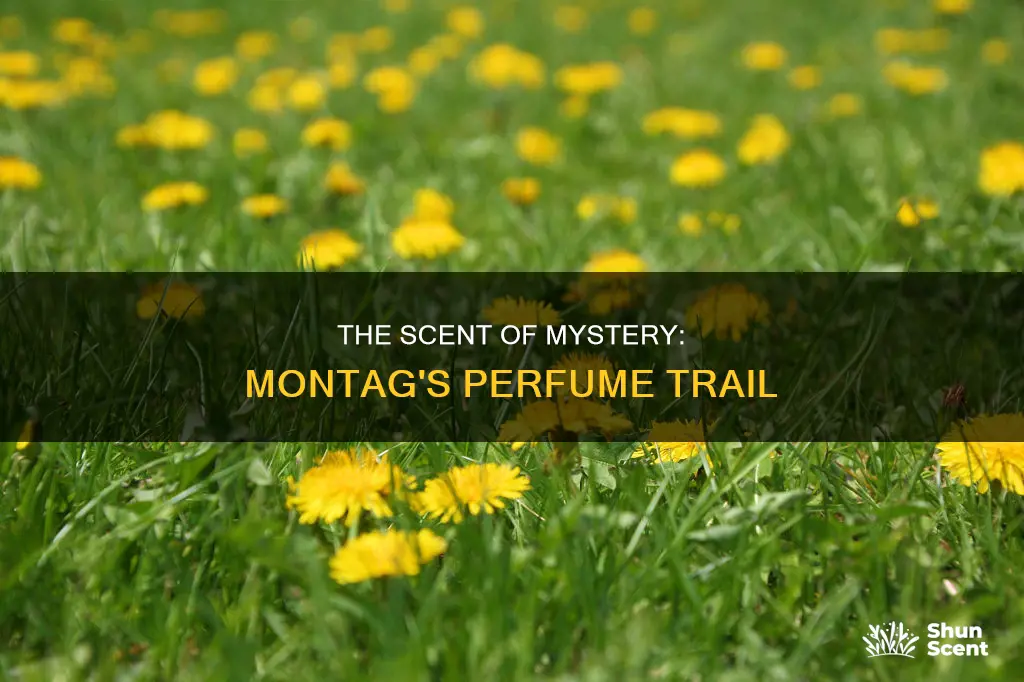 what smelled like perfume to guy montag