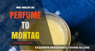 The Scent of Mystery: Montag's Perfume Trail