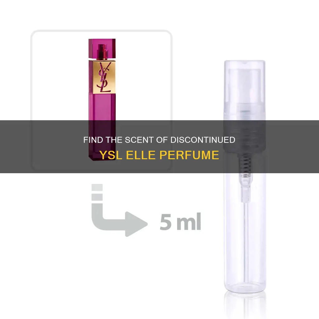 what smells exactly like ysl elle discontinued perfume