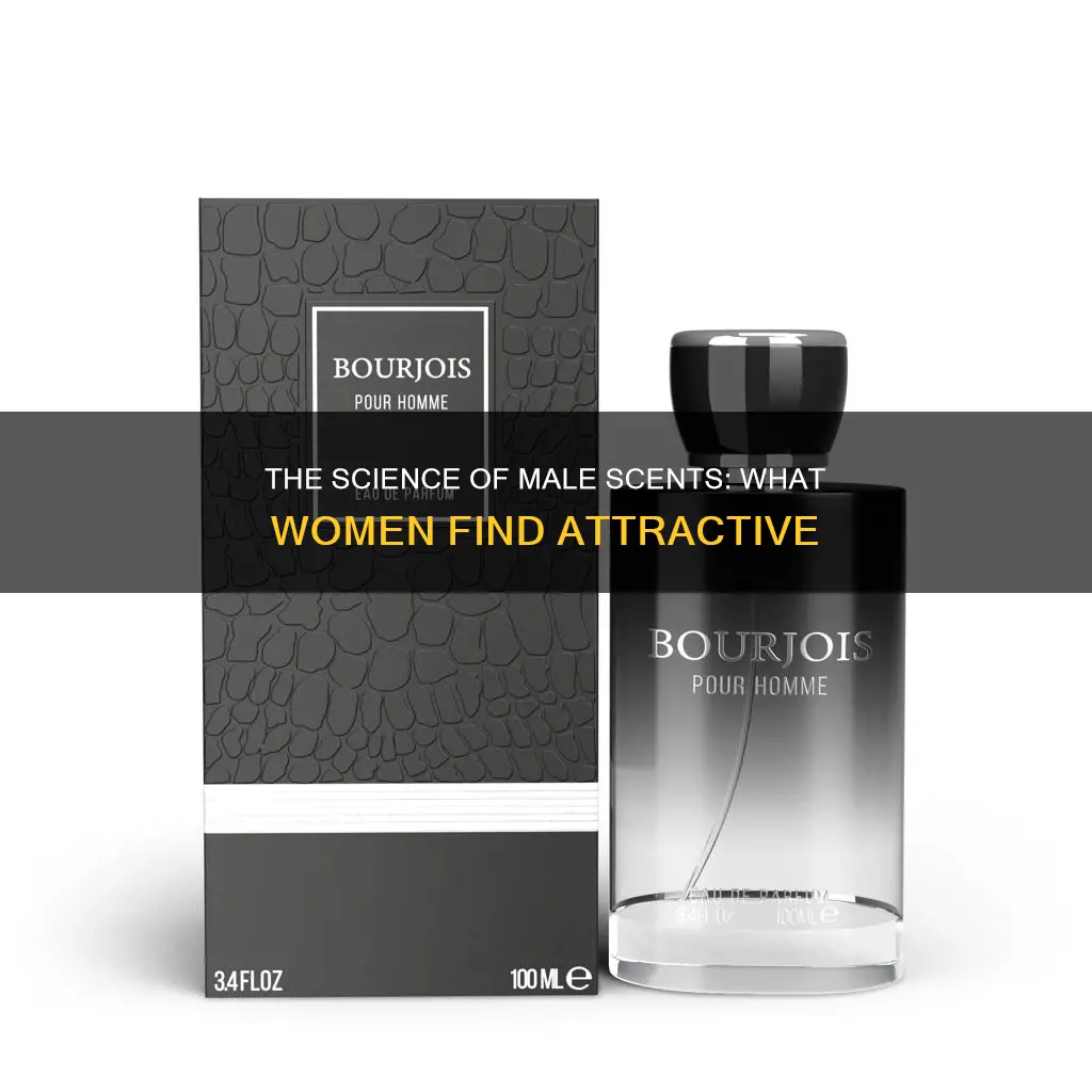 what smells good in male cologne