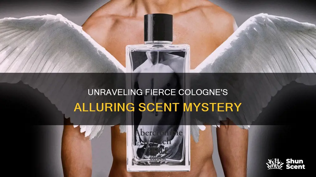 what smells like abercrombie fierce cologne