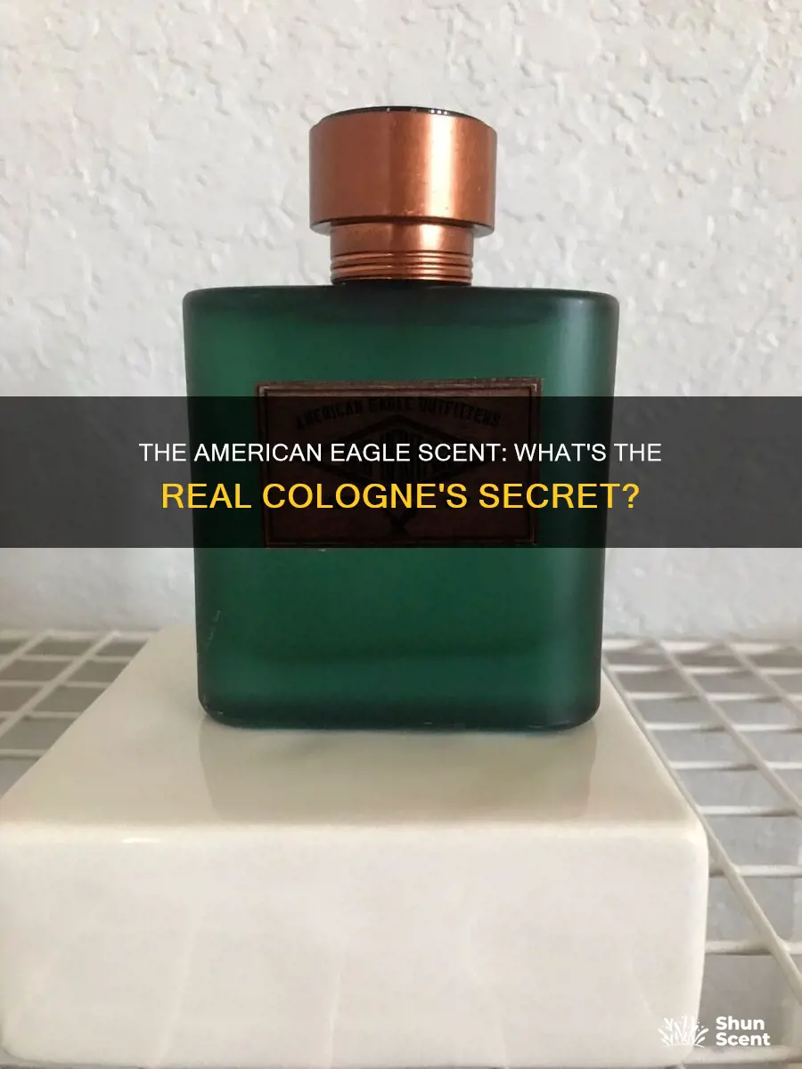 what smells like american eagle real cologne