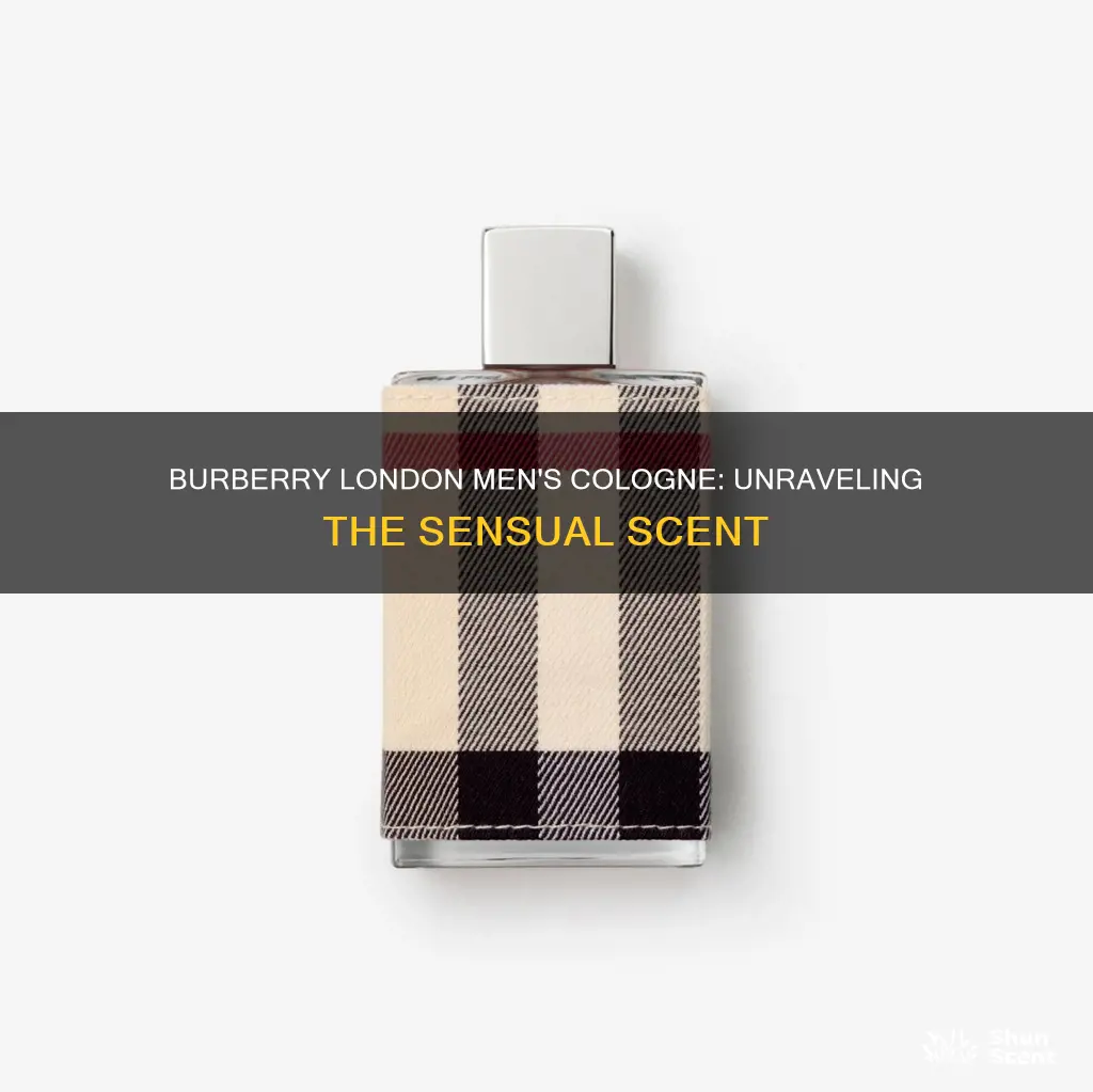 what smells like burberry london men