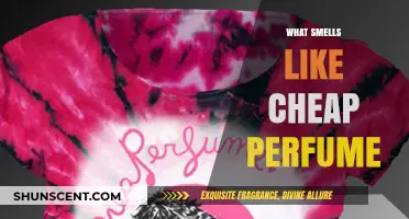 Unveiling the Mystery of Cheap Perfume Scents