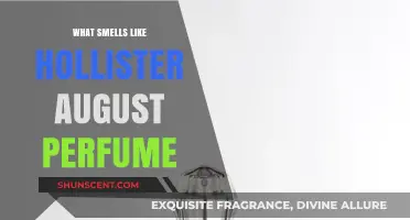 Hollister August: What's That Enticing Scent?