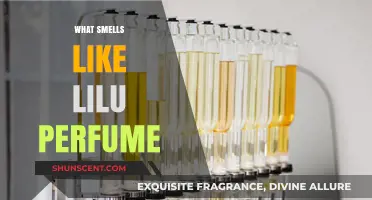 Discover the Scents of Lilu Perfume