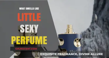 The Alluring Aroma: Little Sexy Perfume