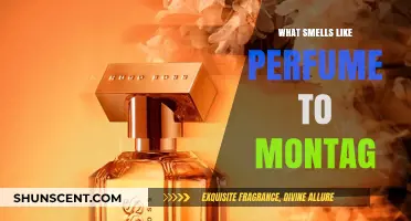 The Sweet Smell of Success: Montag's Perfume Trail