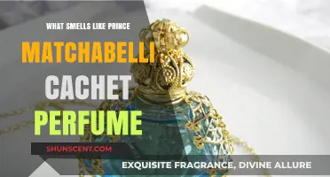 Discovering Scents Similar to Cachet Perfume