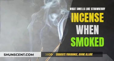 Strawberry Incense: The Sweet Scent of Smoking