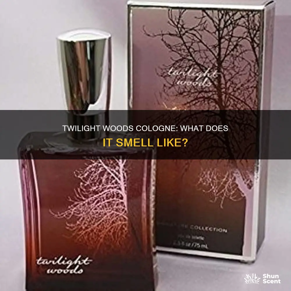 what smells like twilight woods cologne for men