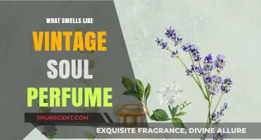 Vintage Soul Perfume: The Scent of Nostalgia