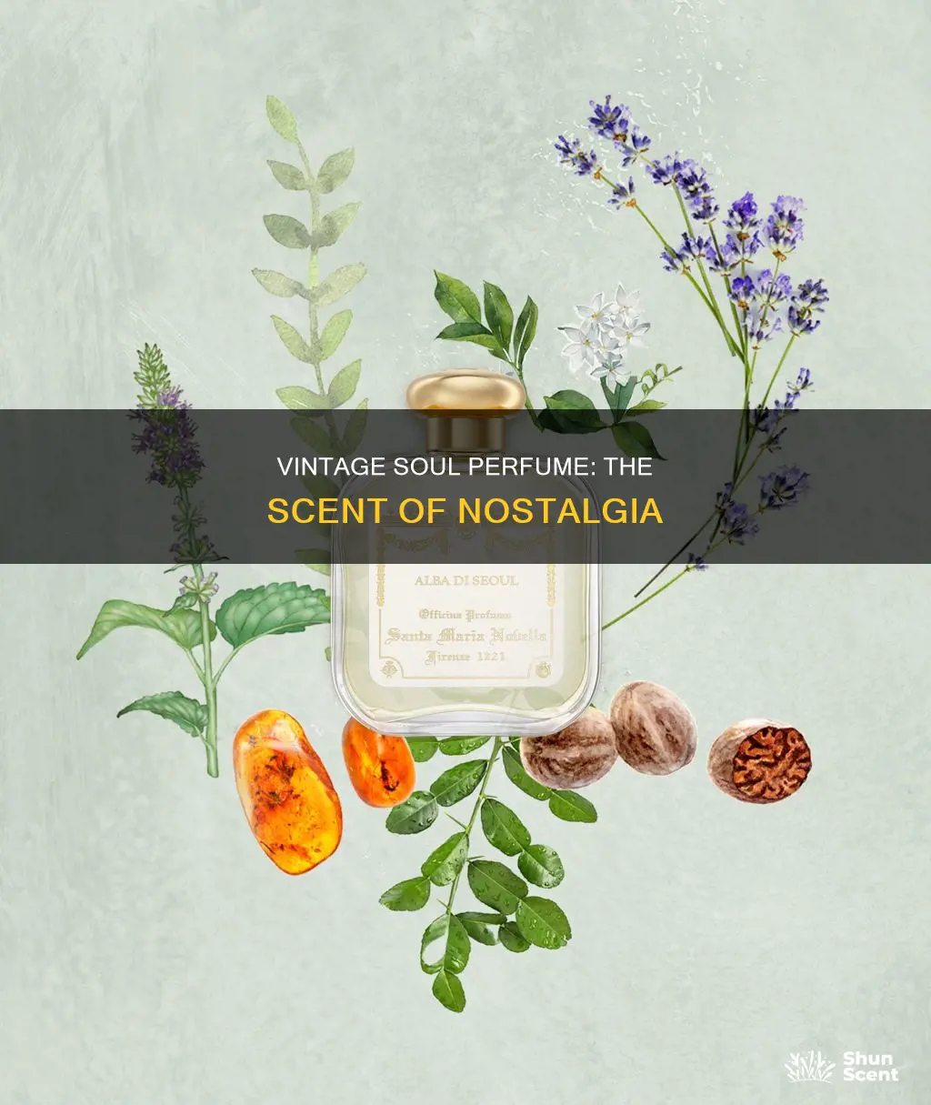 what smells like vintage soul perfume