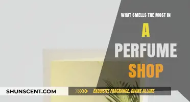 Aromatic Overload: Navigating the Smelliest Scents in Perfume Shops