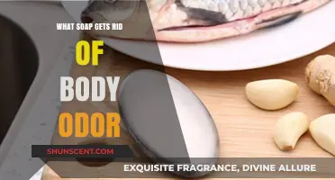 Fresh and Clean: The Ultimate Guide to Odor-Busting Soaps