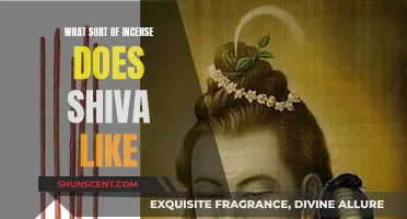 Shiva's Incense: Scents to Please the God