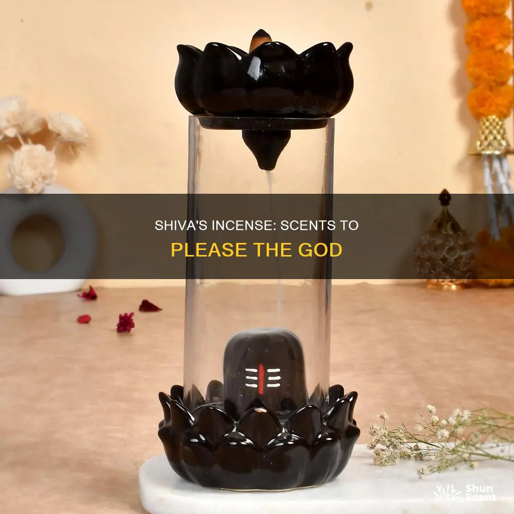 what sort of incense does shiva like