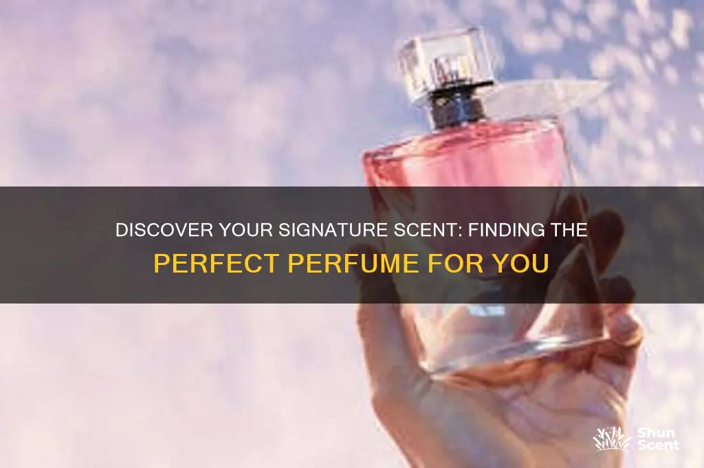 what sort of perfume suits me