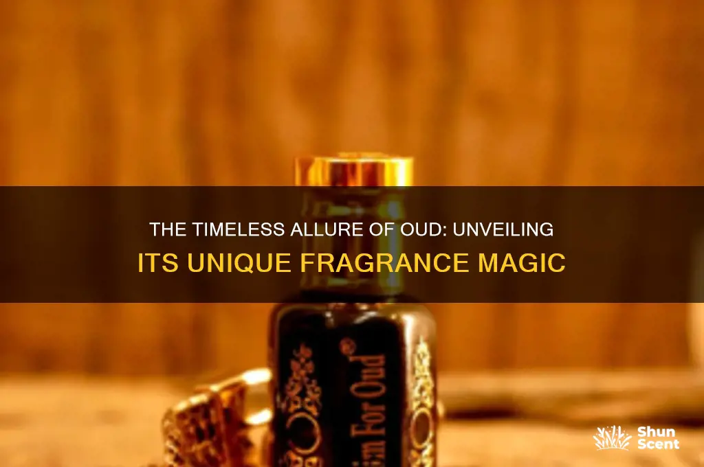 what special about oud perfume