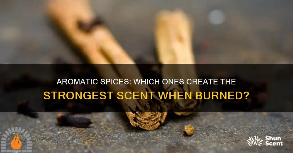 what spice has strongest aroma when burned