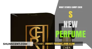 Where to Find Cher's New Perfume: Retailers Carrying the Scent