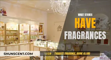 Explore These Stores for Your Next Fragrance Purchase