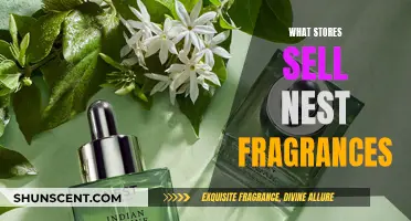 Nest Fragrances: Where to Buy and Best Stores