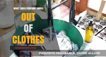 How to Remove Stubborn Perfume Stains from Clothes