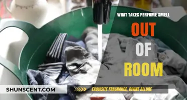 How to Remove Lingering Perfume Scents from a Room