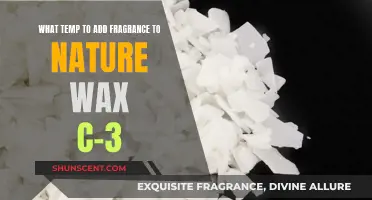 The Perfect Temperature to Scent Nature Wax C-3