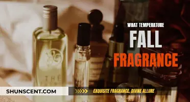 Fall Fragrance: Choosing Scents for the Cooler Weather