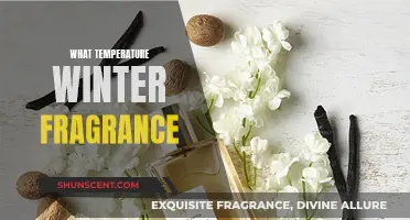 Winter Scents: Choosing Fragrances for Cold Weather