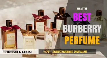 Discover the Best Burberry Perfume for Every Occasion