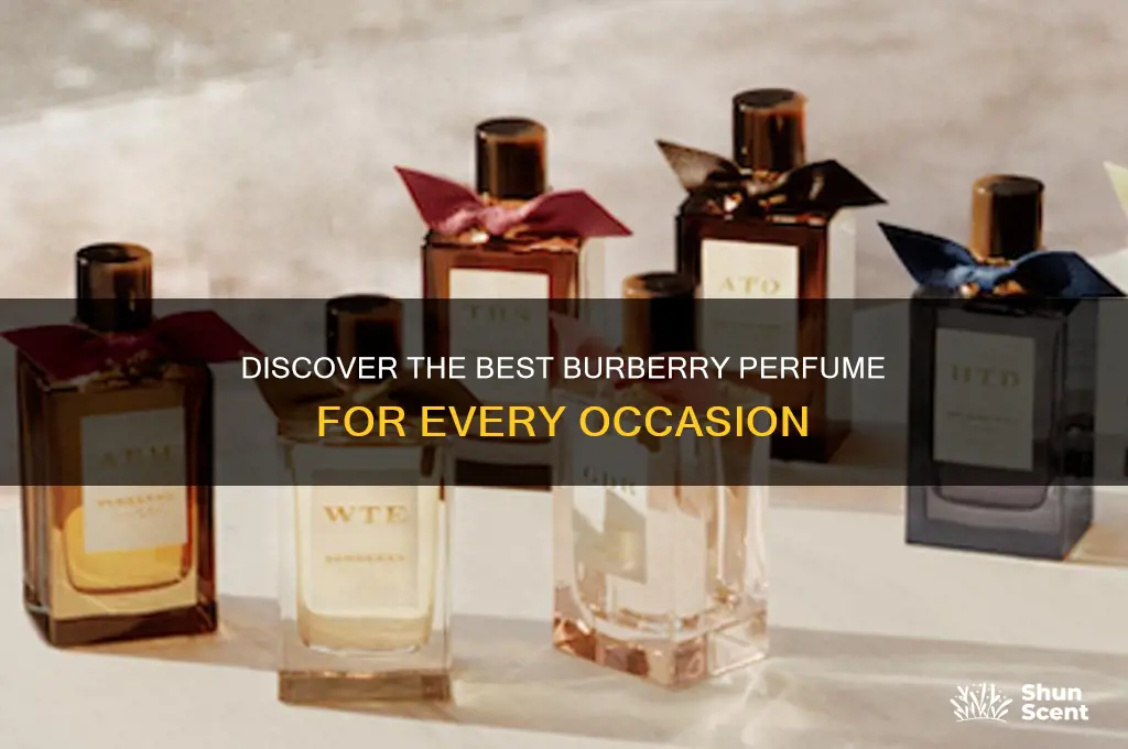 what the best burberry perfume