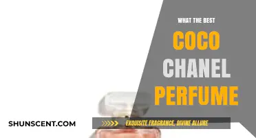 Discover the Timeless Elegance of Coco Chanel's Best Perfumes