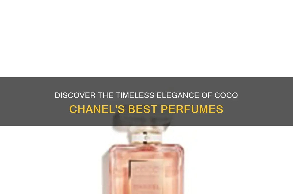 what the best coco chanel perfume