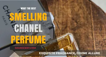 Chanel Fragrances: The Most Enticing Scents