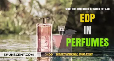 EDT vs. EDP: Understanding Perfume Concentrations and Longevity