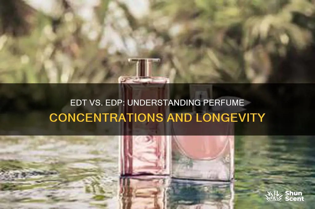 what the difference between edt and edp in perfumes