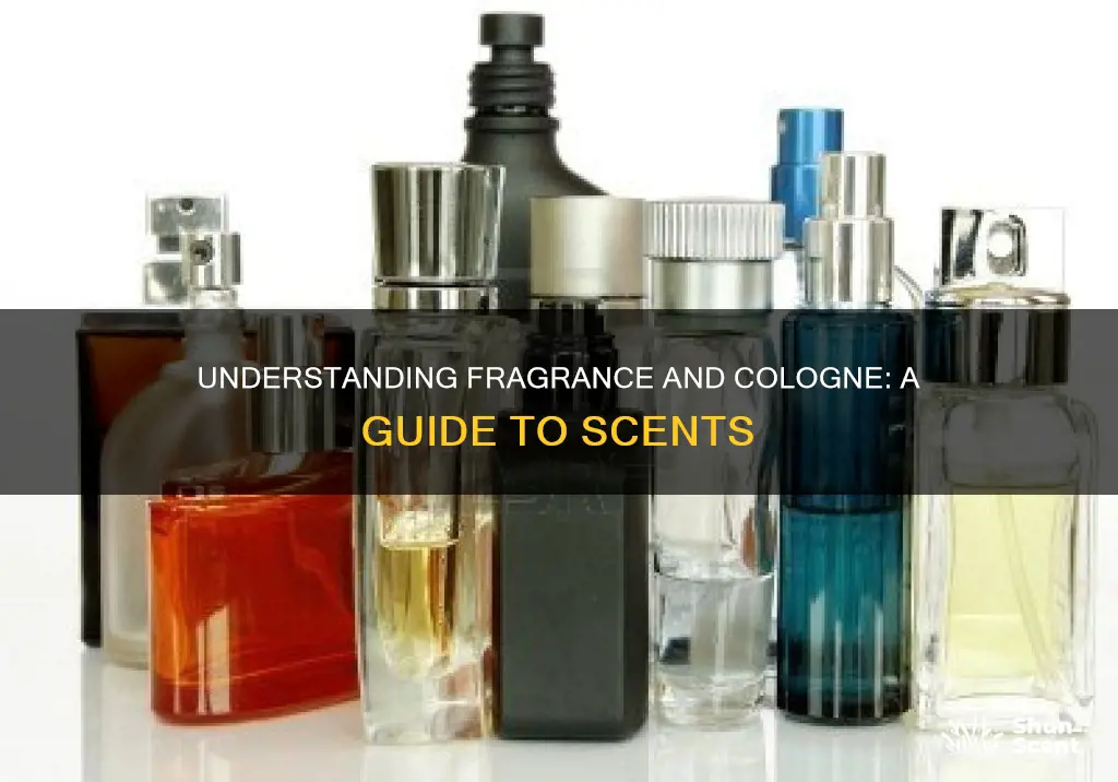 what the difference between fragrance and cologne