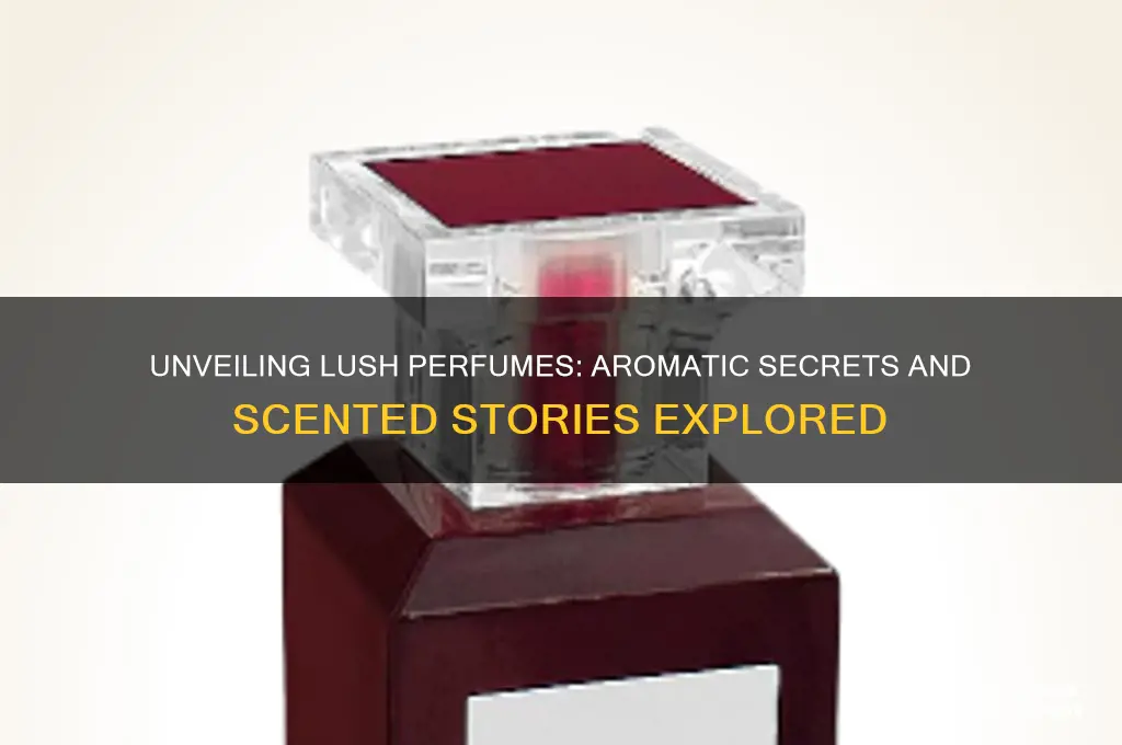 what the lush perfume