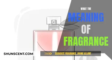 The Language of Fragrance: A Powerful, Invisible Accessory