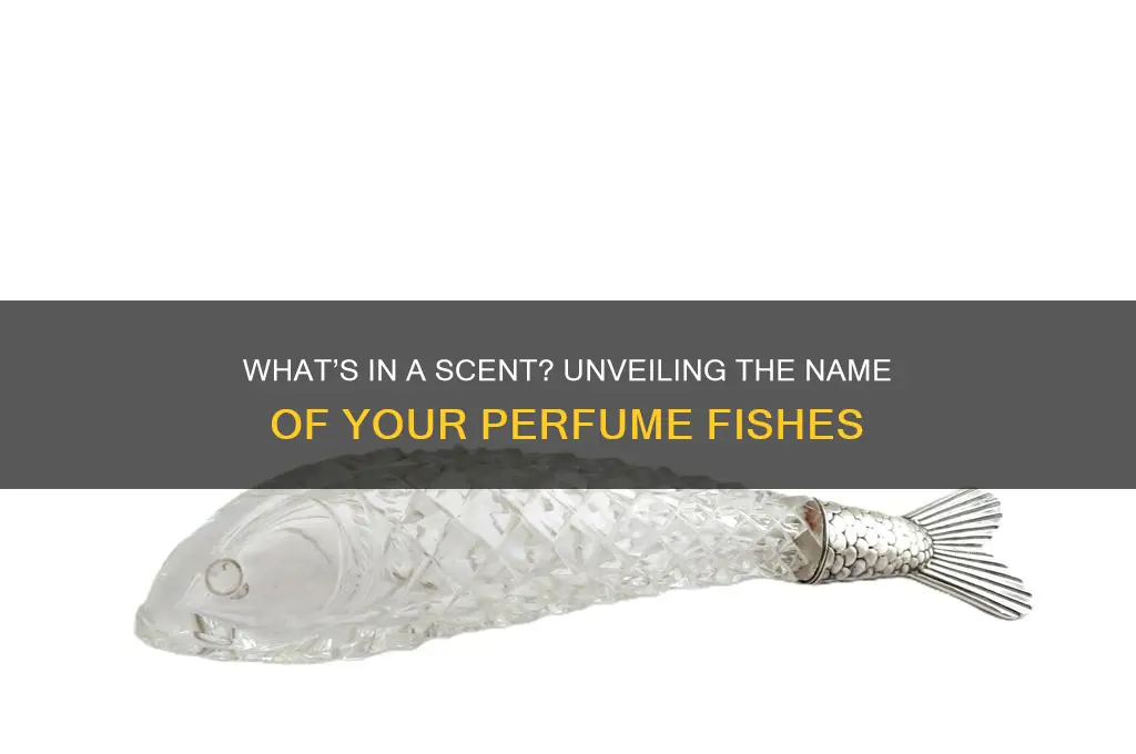 what the name of your perfume fishes