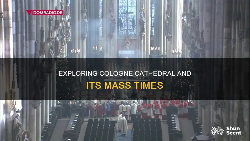 what time is mass in cologne cathedral