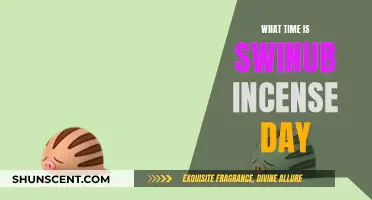 When Swinub Incense Day Occurs