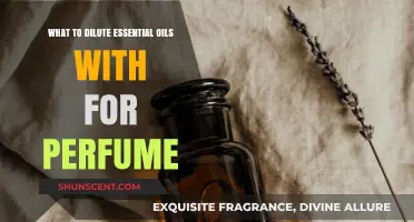 Perfect Perfume Blends: Best Carrier Oils to Dilute Essential Oils