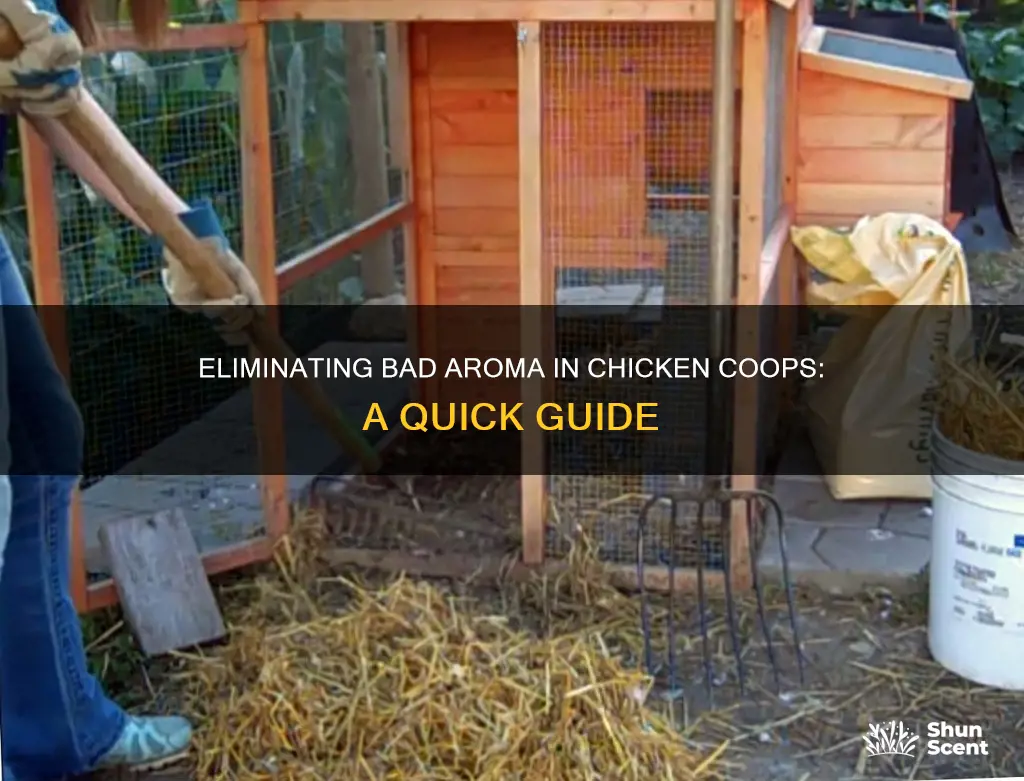 what to do about bad aroma in chicken coop