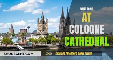 Exploring Cologne Cathedral: A Visitor's Guide to the Attractions