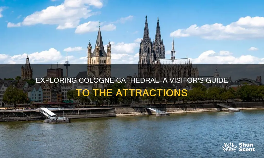 what to do at cologne cathedral