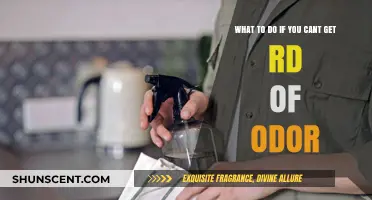 Banishing Stubborn Odors: A Comprehensive Guide to Freshness